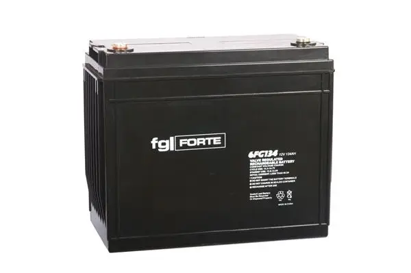 Poslední Šance FG-Forte 6FG134 - 12V / 134AhC20