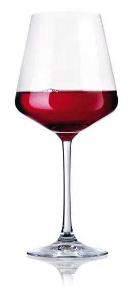 Oblíbený Sada sklenic na červené víno CAMP4 Andalucia, 465 ml, 2ks
