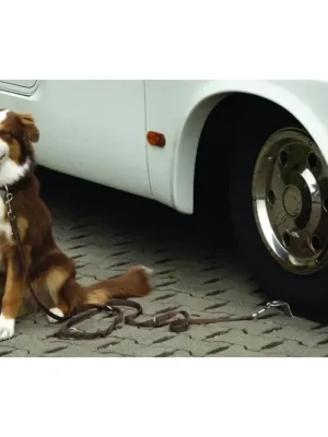 Časově Omezené Držák pro psy DOG-SITTER