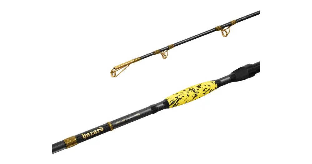Top Prodej Delphin Prut Hazard BxG 3,1 m 505 g