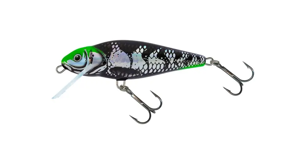 Cenový Hit Salmo Wobler Perch Floating Holo Dark Green Head - 12 cm