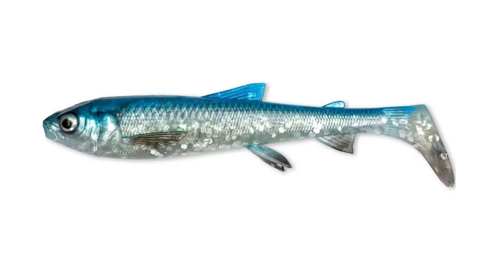Aktuální Savage Gear Gumová Nástraha 3D Whitefish Shad Blue Silver - 20 cm 62 g