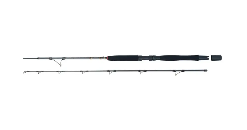 Cenový Hit WFT Prut Go North II 2,1 m 20 lb 100-400 g