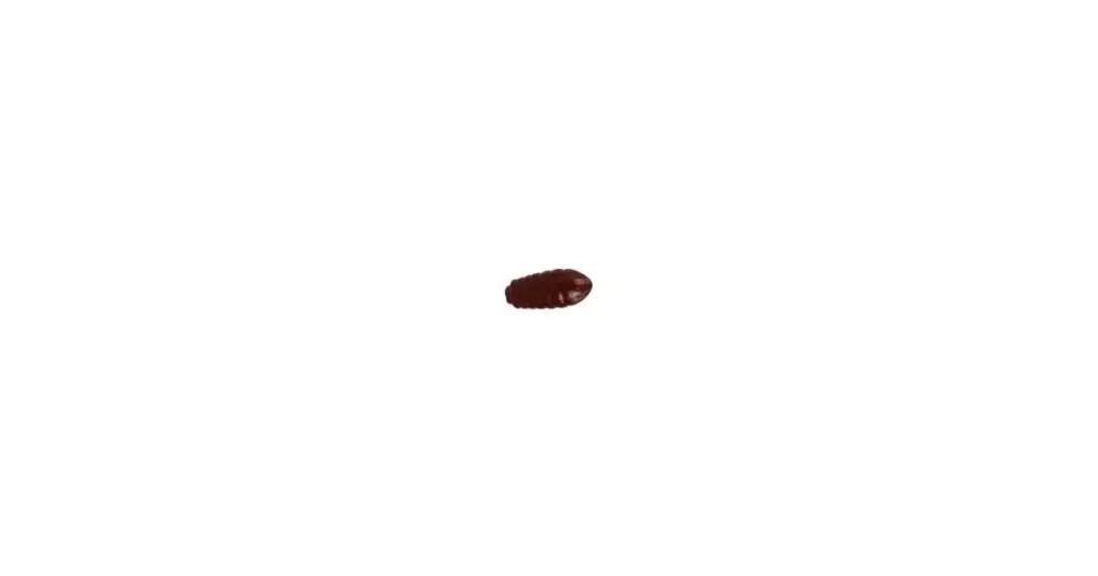 Oblíbený Saenger ms range gumová nástraha larva tm.hnědá db 20ks
