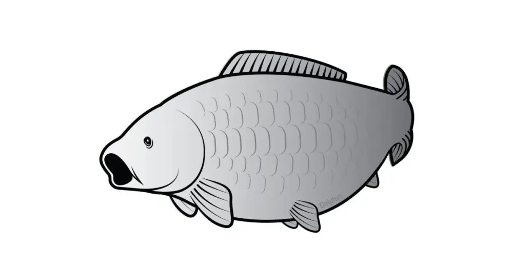 Super Cena Delphin Nálepka Kapr Silver