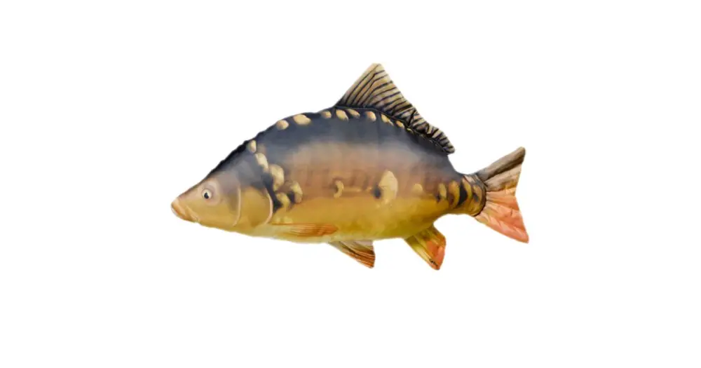 Značkový Gaby Plyšová Ryba Kapr Lysec Giant 90 cm