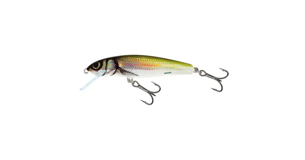 Akční Cena Salmo Wobler Minnow Floating Holo Bleak - 6 cm 4 g