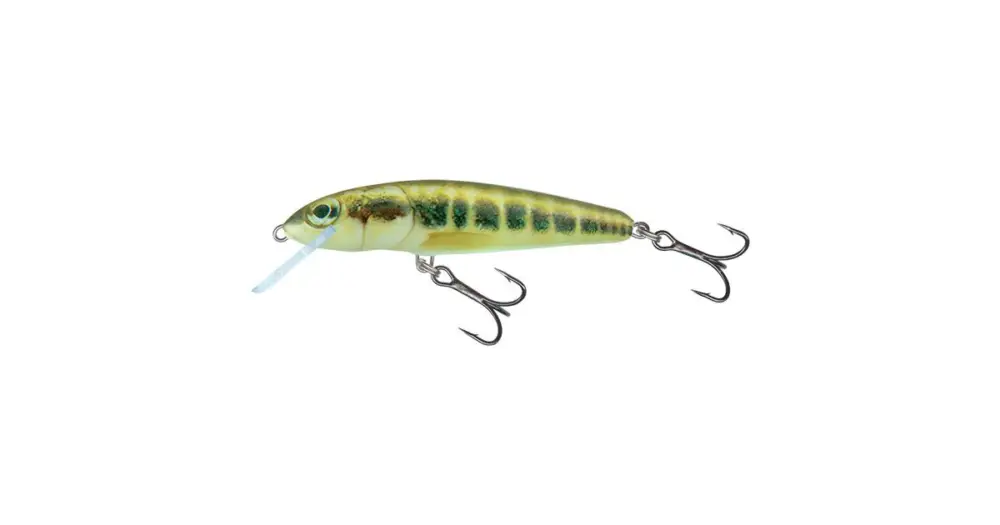 Salmo Wobler Minnow Floating Minnow-7 cm 6 g Rychlé Dodání