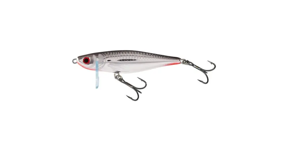 Ihned K Objednání Salmo Wobler Thrill Sinking Silver Flashy Fish-5 cm 6,5 g