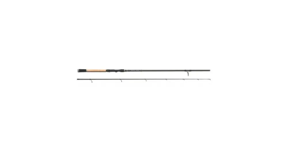 Saenger Prut Zander Spin 2,4 m 20-65 g Speciální Cena