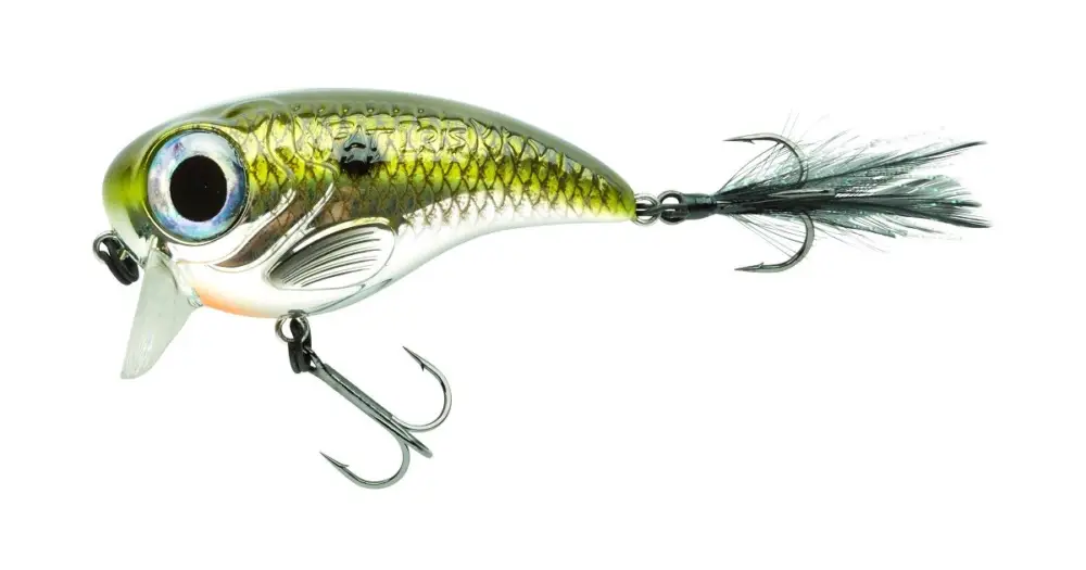 Autentický Spro Wobler Pomalu Plovoucí Fat Iris 60 Shad 6 cm 17 g