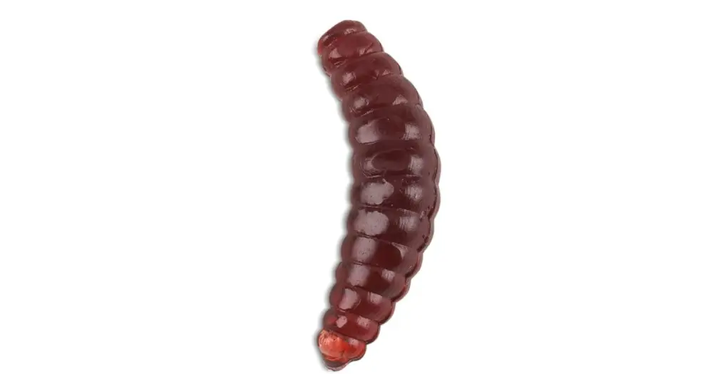Objednat Nyní Saenger Iron Trout Gumové Nástrahy Bee Maggots 2,5 cm-Barva BR