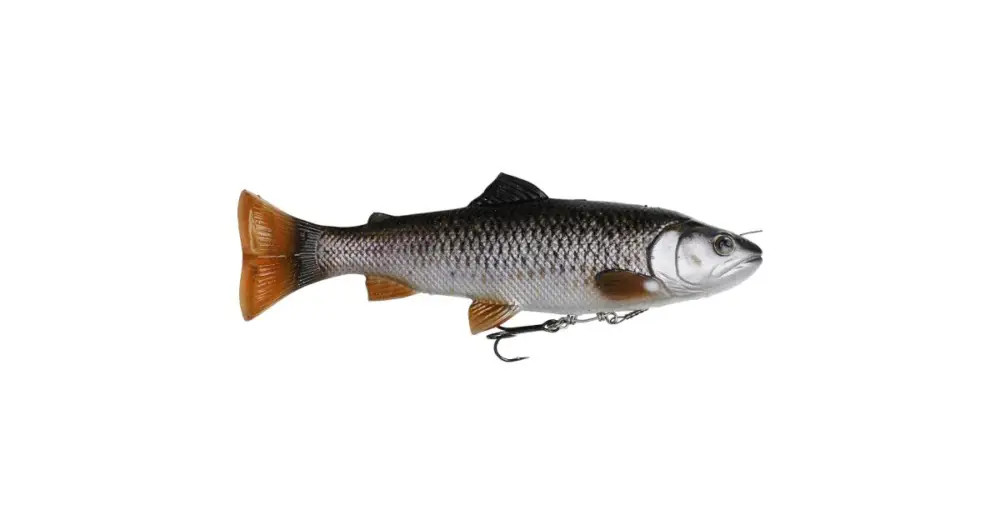 Zlevněný Savage Gear Gumová Nástraha Pstruh 4D Line Thru Pulsetail Trout SS Chub Trout - Délka 20 cm 102 g