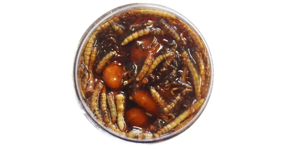 TB Baits Nakládaný Tygří Ořech XXL + Červ 150 ml-Bloodworm Akční Cena