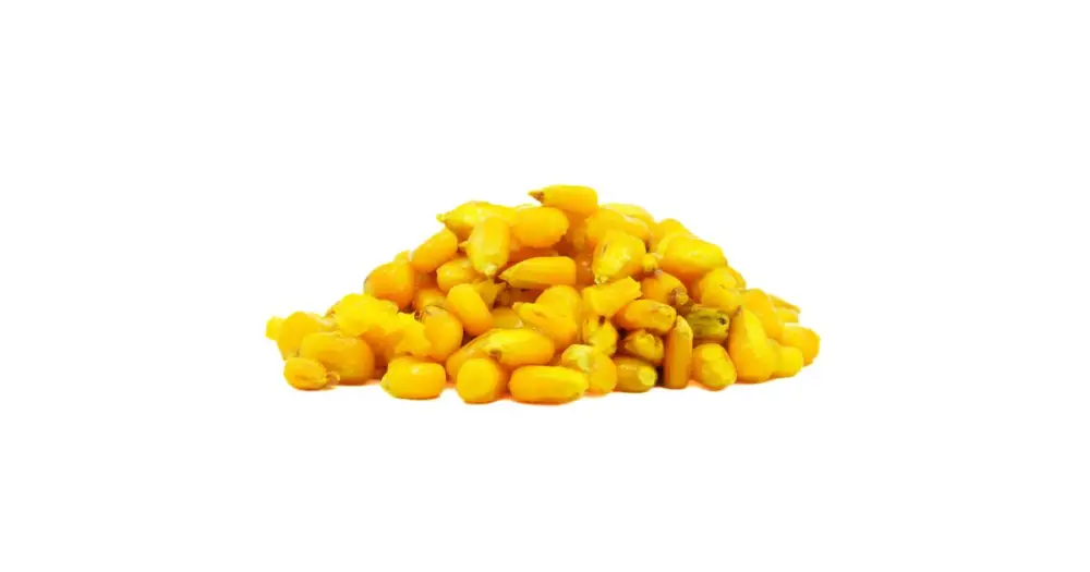 Horká Nabídka Carpway Kukuřice Ready Carp Corn Ochucená 1,5 kg - Vanilka