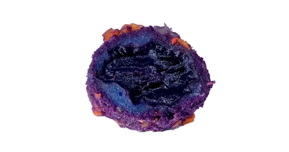 Horká Nabídka LK Baits nástraha CUC Raisin 50 g-Plum