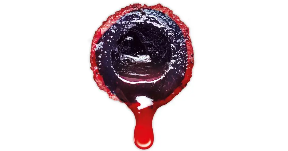 LK Baits Nutrigo Extra Bloodworm - 400 ml 30 mm Odeslání Ihned