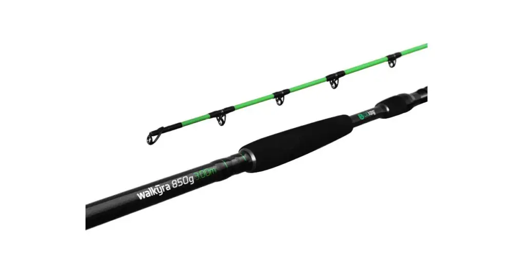 Delphin Prut Walkýra 3,3 m 850 g Značkový