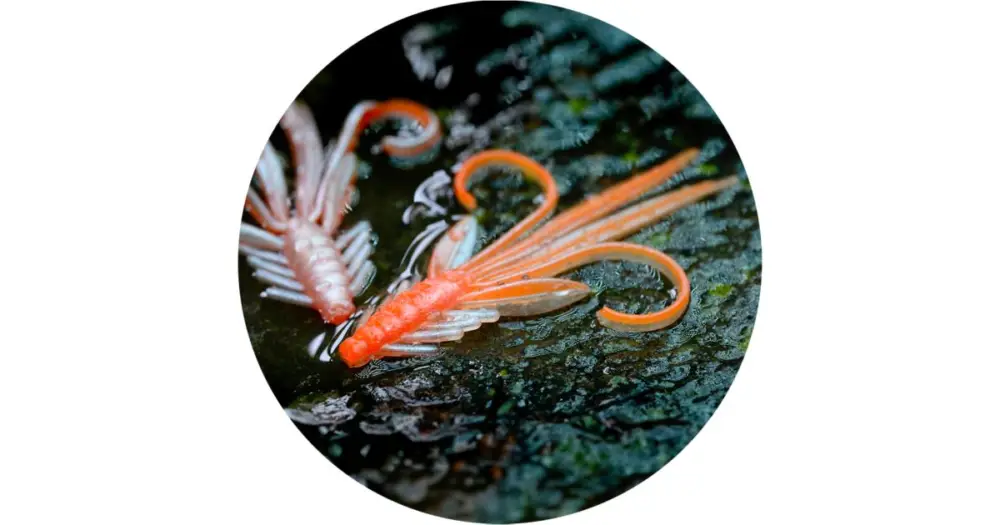 RedBass Gumová Nástraha Nymfa Orange/Silver UV - XL 130 mm Akce