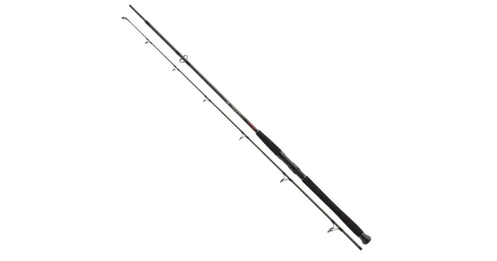 Akce Daiwa Prut Exceler CF Spin 2,40 m -185 g