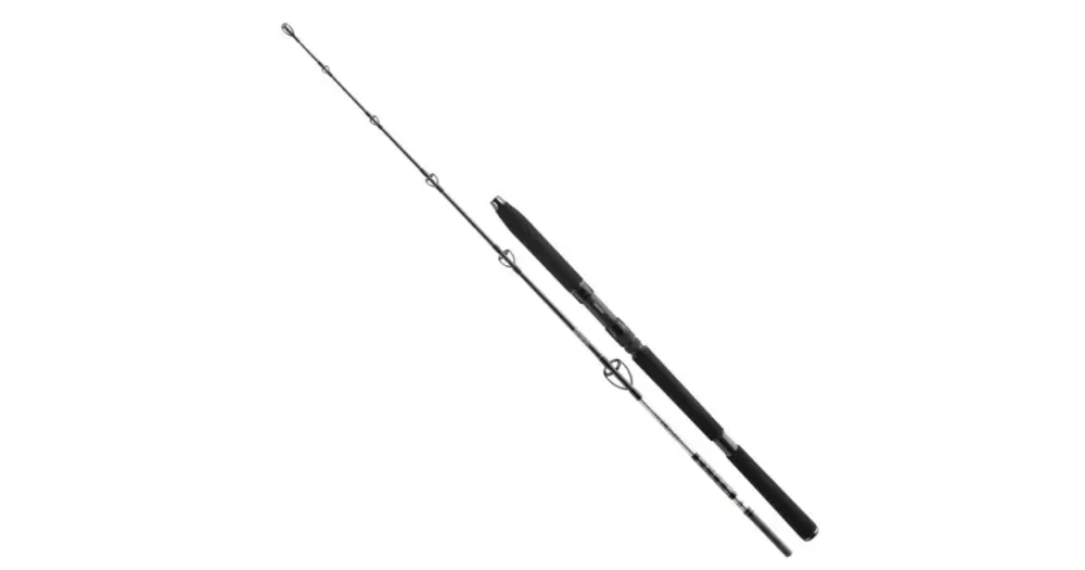 Expresní Doručení Daiwa Prut BG Jigger 1,70 m 150-400 g
