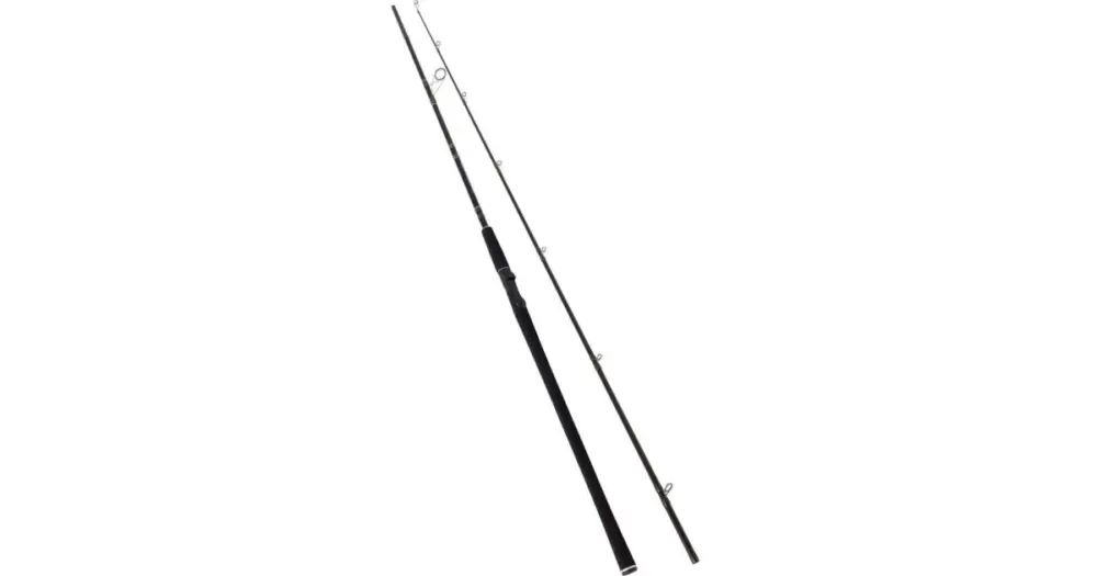 Westin Prut W2 Powercast XXH 2,48 m 40-130 g Vysoce Kvalitní
