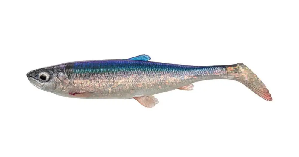 Cenový Hit Savage Gear Gumová Nástraha 3D Herring Shad V2 Herring - 17,5 cm 35 g 2 ks