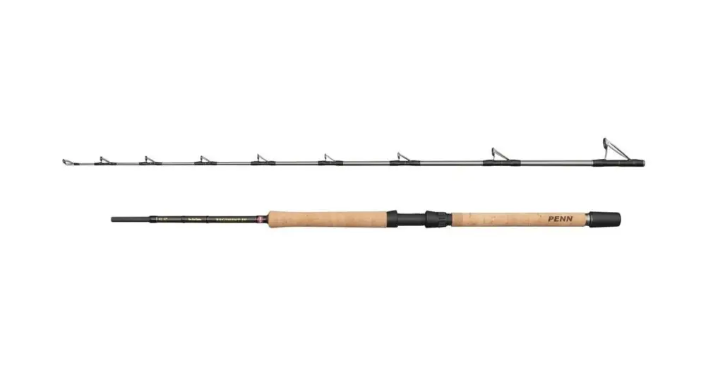 Rychlé Dodání Penn Prut Regiment IV Pro Boat 2,10 m 20-30 lb 2 Díly