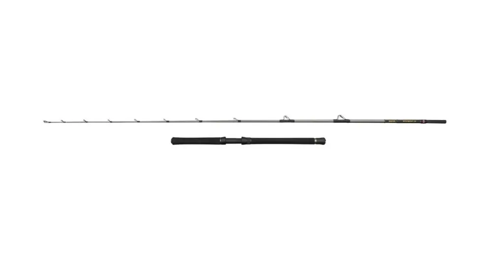 Vysoce Kvalitní Penn Prut Regiment IV Halibuster 2,40 m 30-50 lb 2 Díly