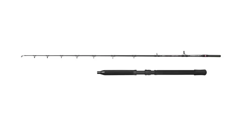 Penn Prut Conflict Deep Drop 2,29 m 800-1500 g 2 Díly Expresní Doručení