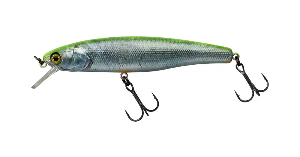 Illex Wobler Arnaud F RT Visible Roach - 10 cm 16 g Must-Have