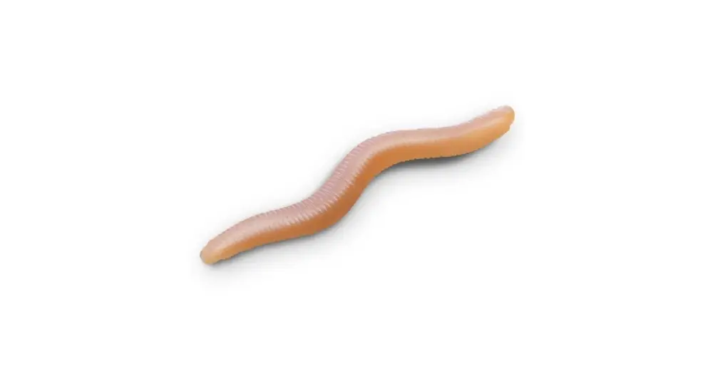 Doprava Zdarma Delphin Umělá Nástraha B! StinxWORM 4 cm 50 ks