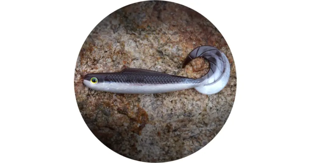 RedBass Gumová Nástraha Twister Kixter Brown/Silver - 12,5 cm 14 g Expresní Doručení