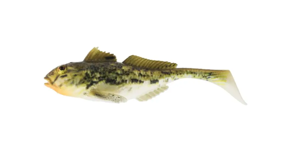 Časově Omezené Westin Gumová Nástraha Gunnar The Goby Spotted Goby 10 cm 12,8 g