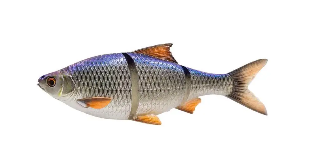 Nová Kolekce Savage Gear Gumová Nástraha 3D Line Thru Roach Sinking Blue Roach - 25 cm 216 g