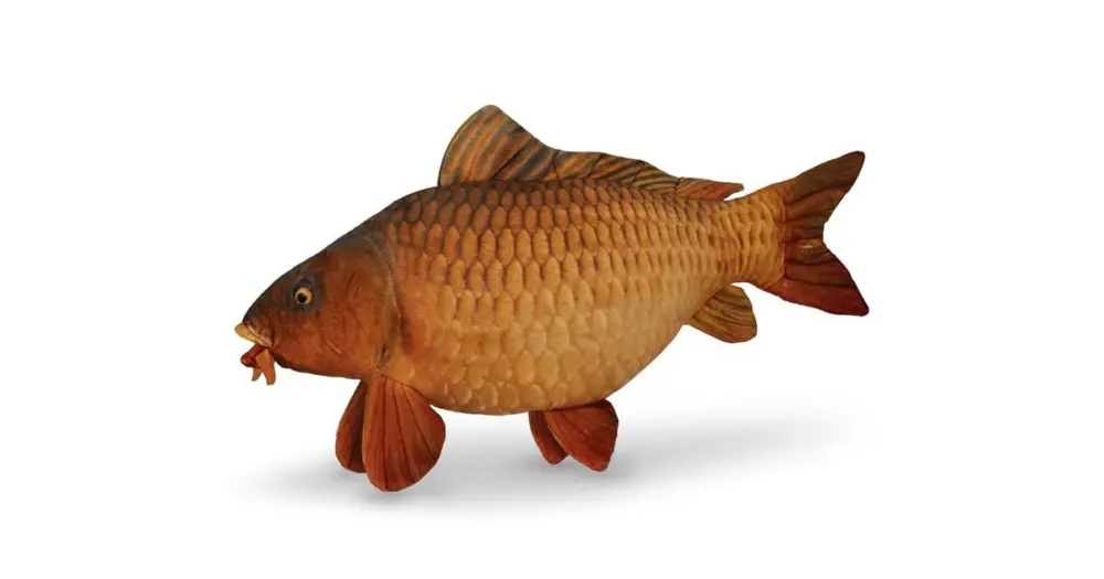 Delphin Plyšový Kapr Capry 60 cm Ihned K Objednání
