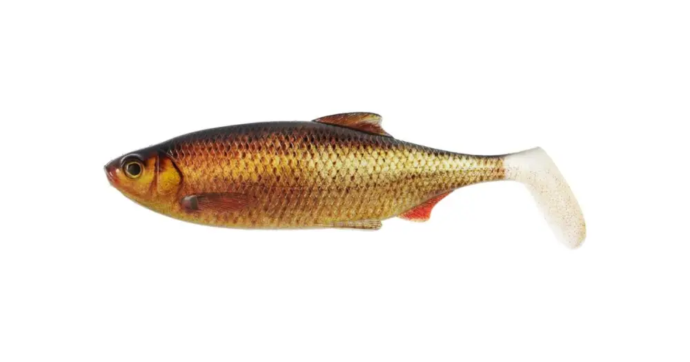 Odeslání Ihned Westin Gumová Nástraha Ricky the Roach Shadtail Clear Rudd - 14 cm 42 g