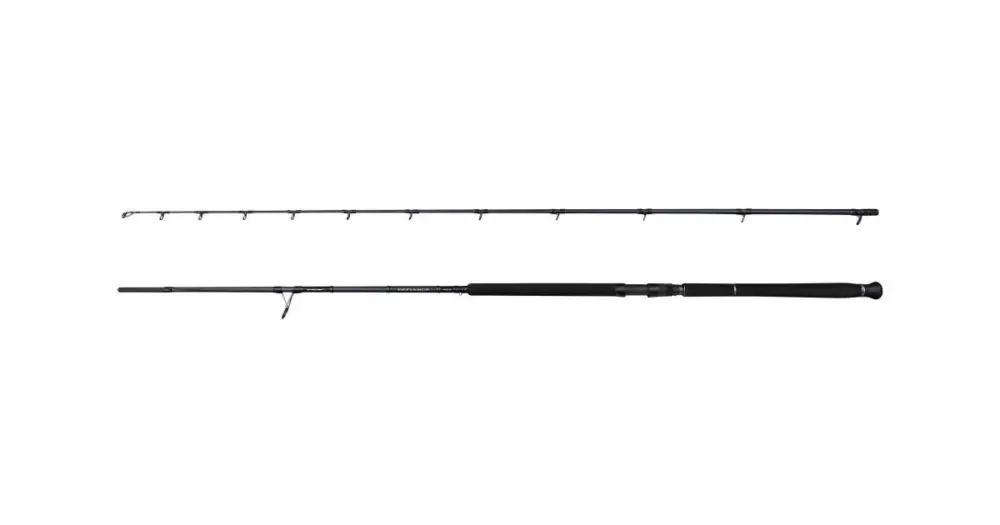 Ihned K Objednání Savage Gear Prut Defiance SG2 Shore Jigging 2,9 m 20-80 g 2-Díl