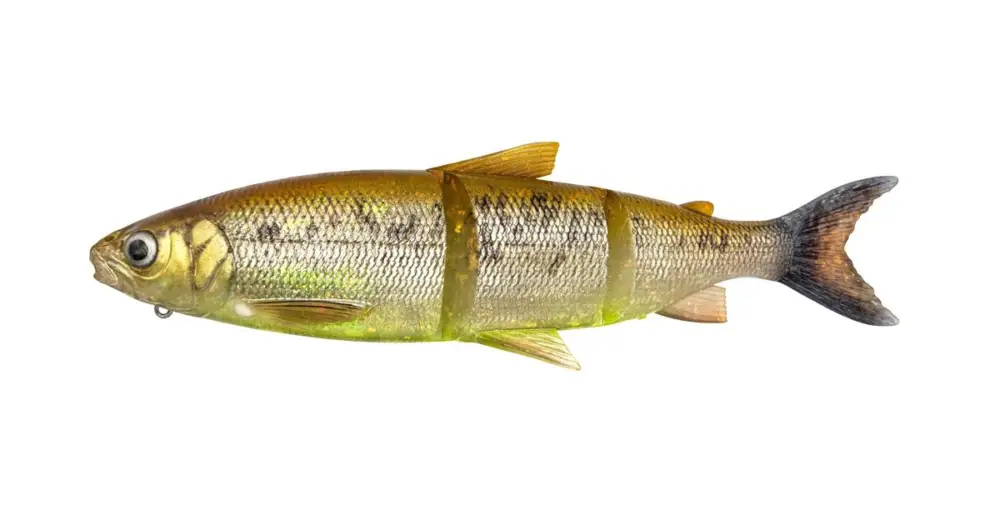 Oblíbený Savage Gear Gumová Nástraha 3D Line Thru Whitefish Moderate Sinking Brown Chartreuse