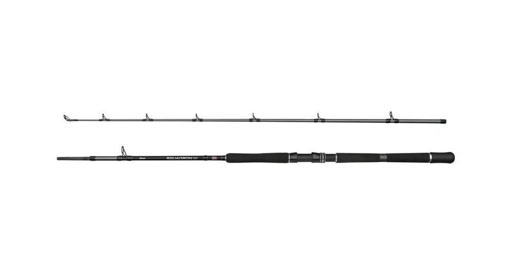 Penn Prut Squadron IV Pro Boat Cast 2,10 m 30-50 lb Nejlepší Volba