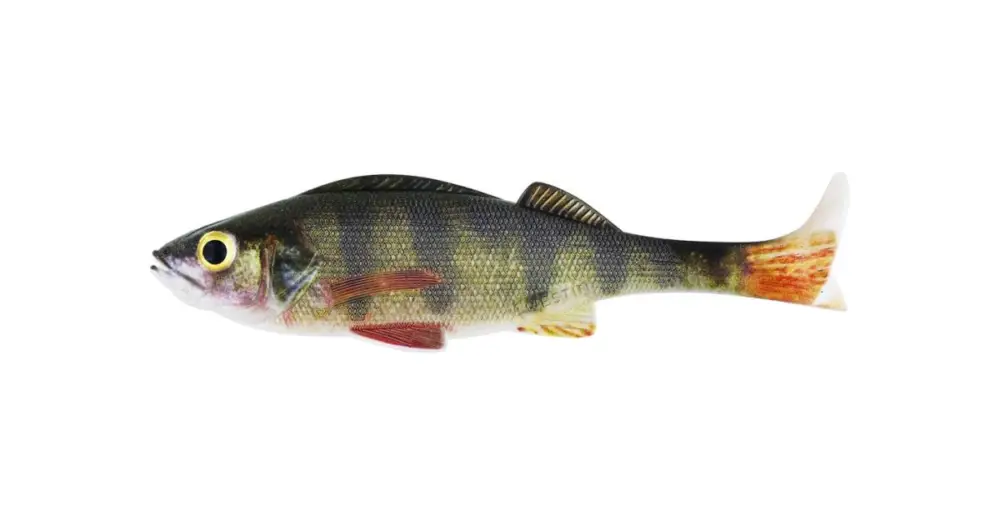 Objednat Nyní Westin Gumová Nástraha Original Perch Real Perch - 9 cm 8 g