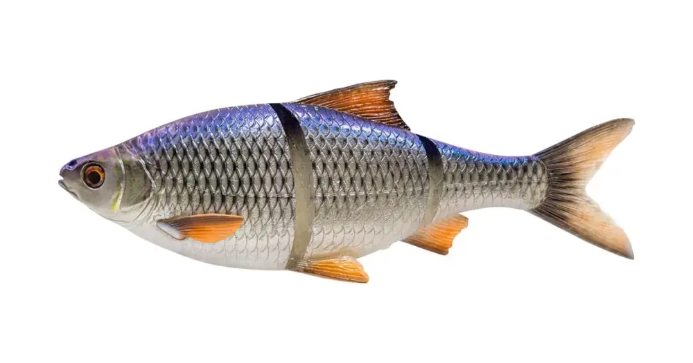 Originální Savage Gear Gumová Nástraha 3D Line Thru Roach Sinking Blue Roach - 18 cm 86 g