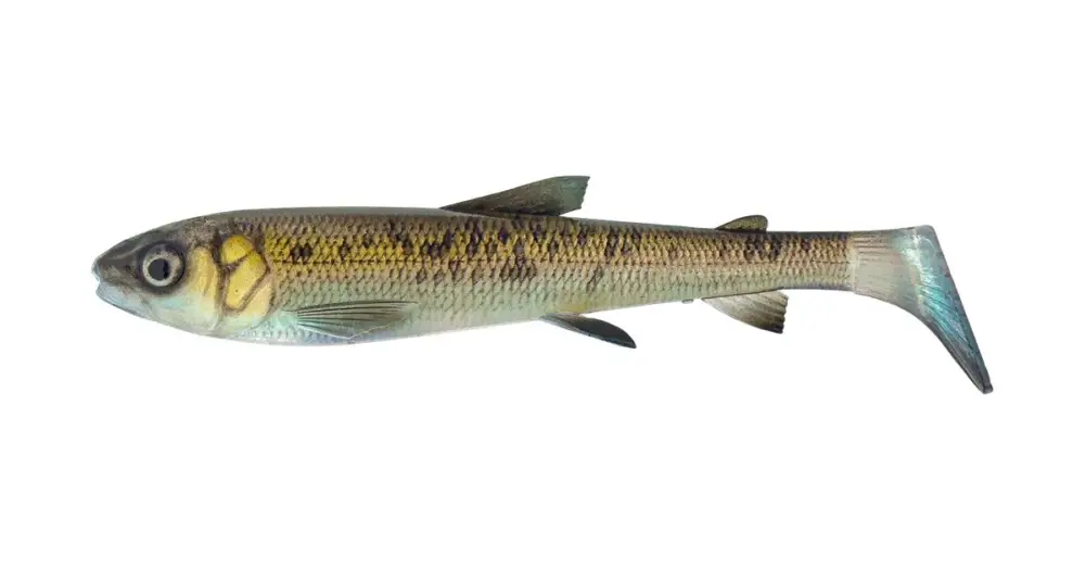 Výhodná Nabídka Savage Gear Gumová Nástraha 3D Whitefish Shad Sinking Green Pearl - 27 cm 152 g
