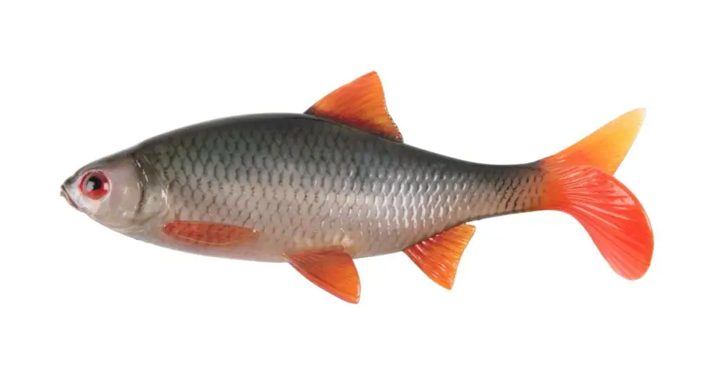 Fox Rage Gumová Nástraha Ultra Natural Roach Bulk Poslední Šance
