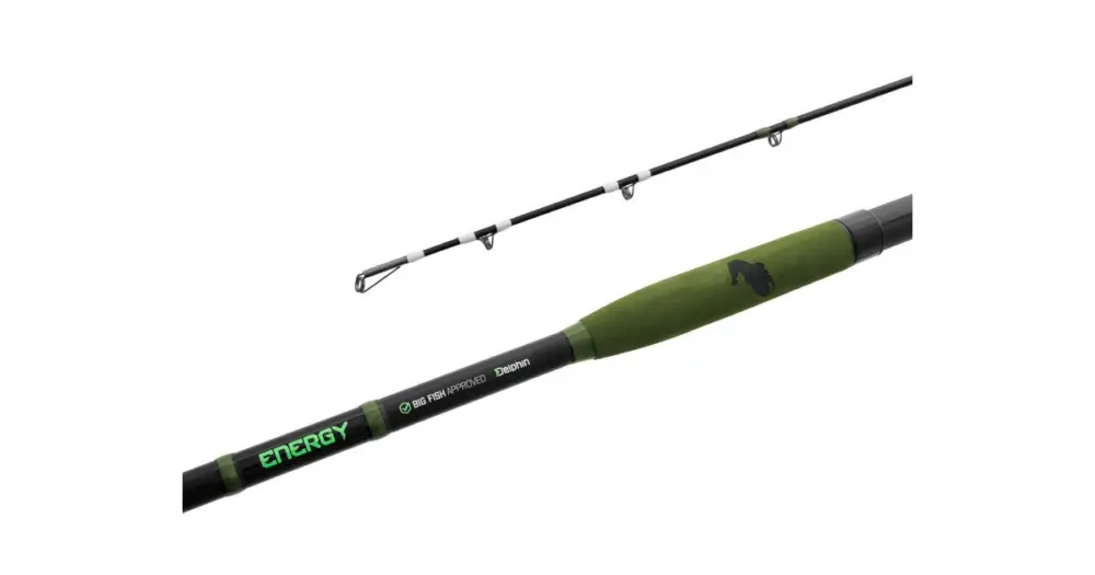 Speciální Cena Delphin Prut Energy Catfish 3,1 m 250-500 g